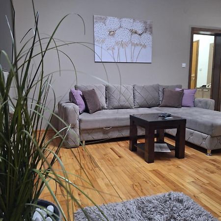 Apartmani Radulovic Vrnjačka Banja Rom bilde