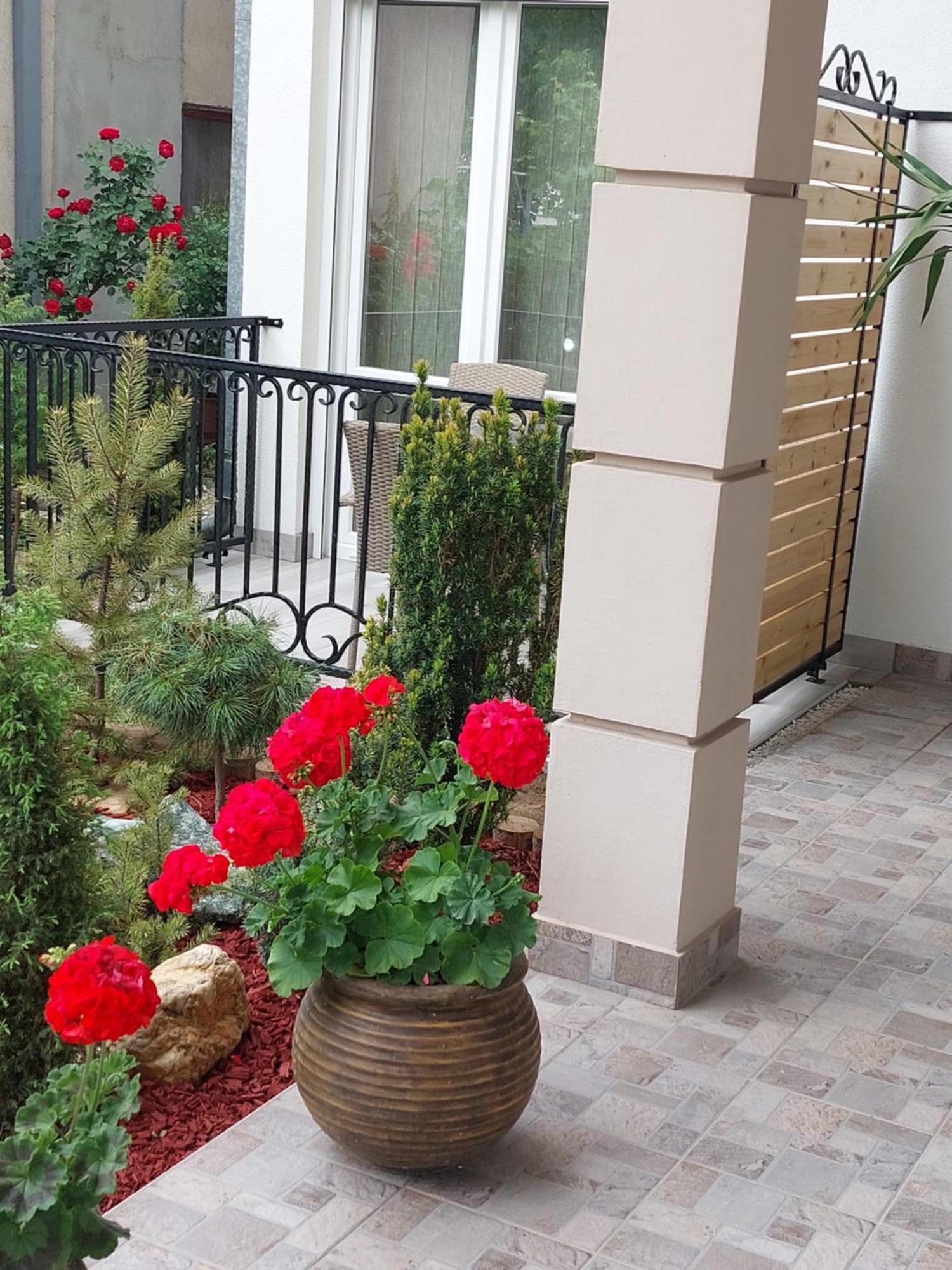 Apartmani Radulovic Vrnjačka Banja Rom bilde