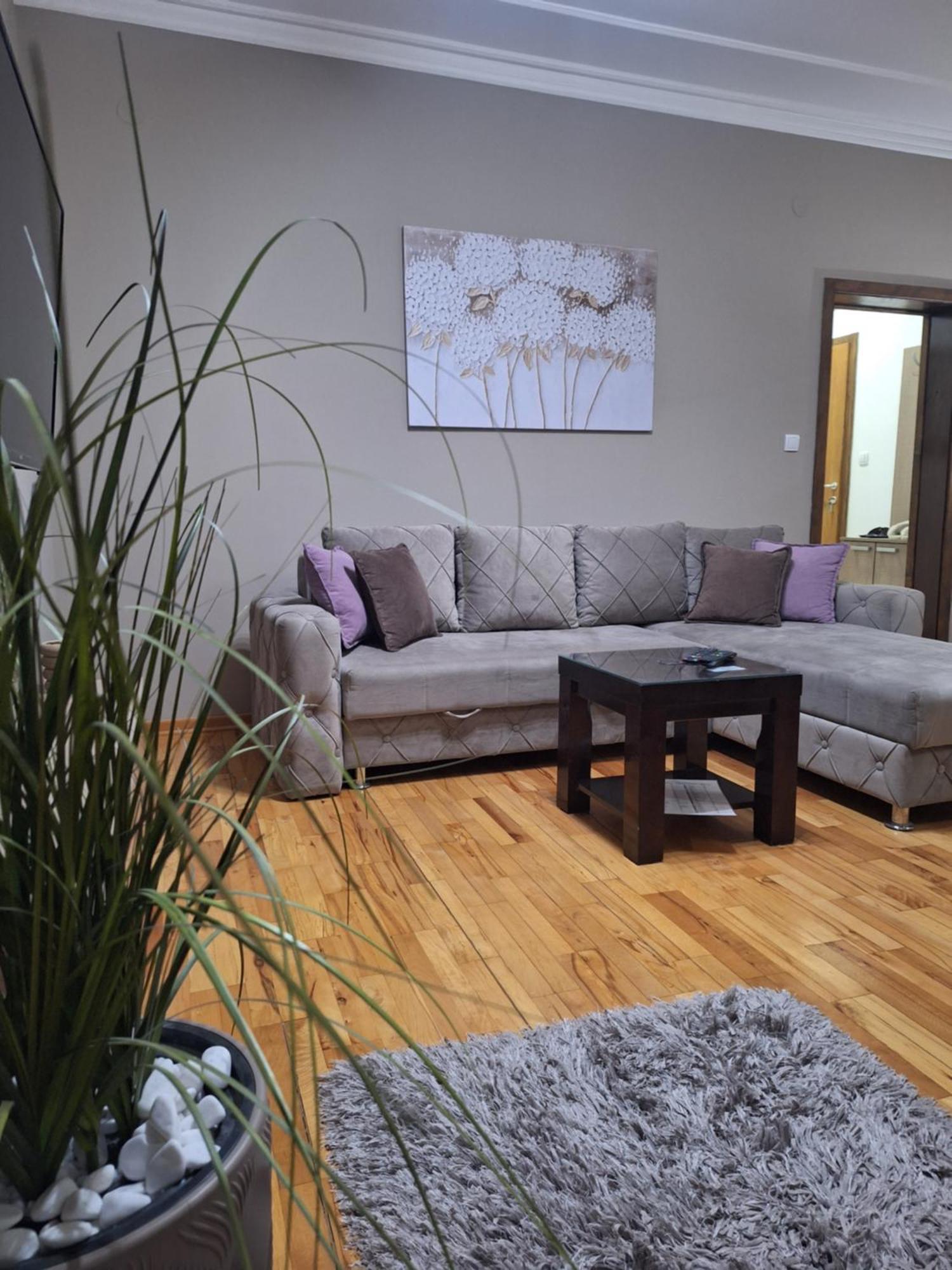 Apartmani Radulovic Vrnjačka Banja Rom bilde