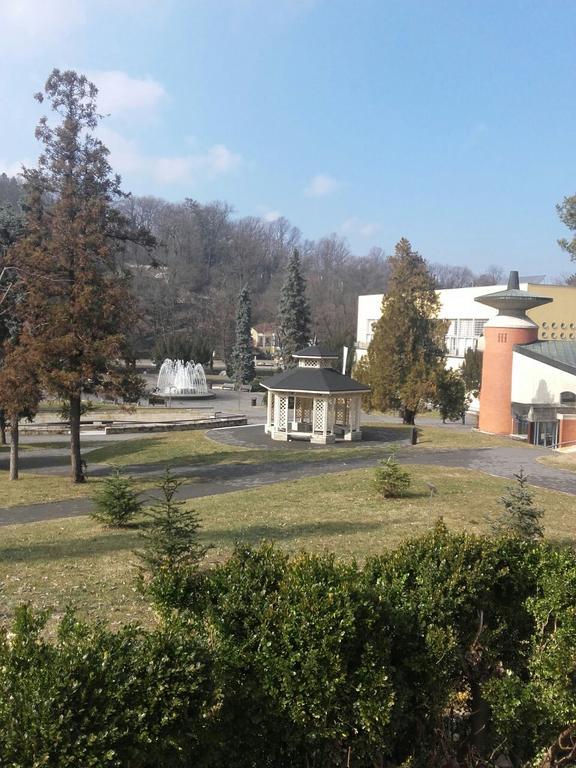 Apartmani Radulovic Vrnjačka Banja Eksteriør bilde